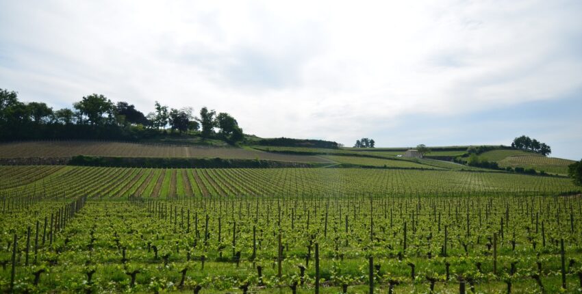 Bordeaux Mérignac: leje af privatfly 