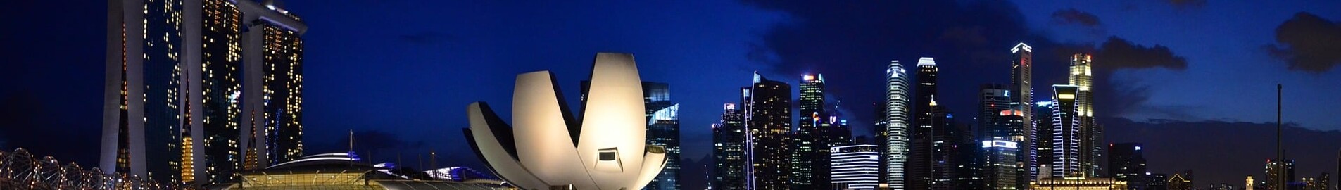 Singapore: leje af privatfly 