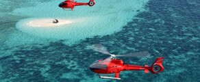 Antigua VC Bird: leje af privat jetfly 
