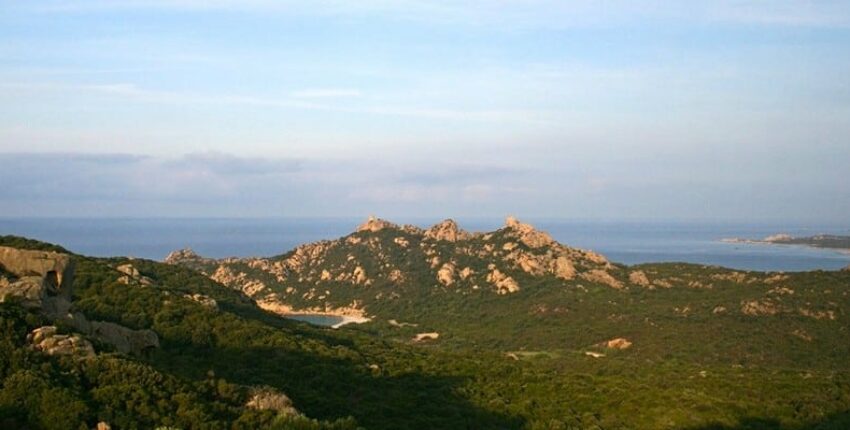 Figari-Sud-Corse: leje af privatfly