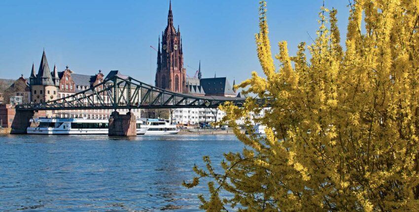 Frankfurt am Main: leje af privatfly