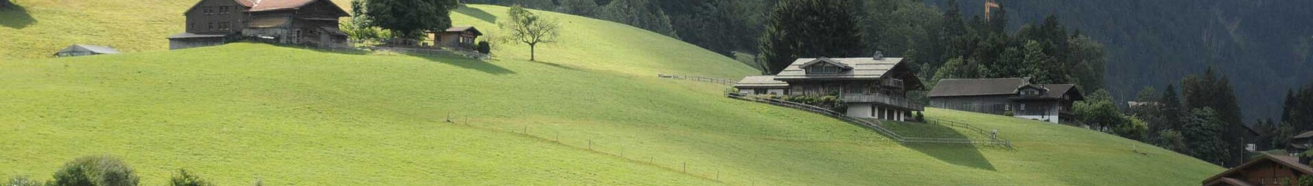 Paris - Gstaad: leje af privatfly 