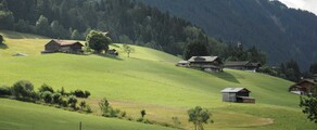 Paris - Gstaad: leje af privatfly 