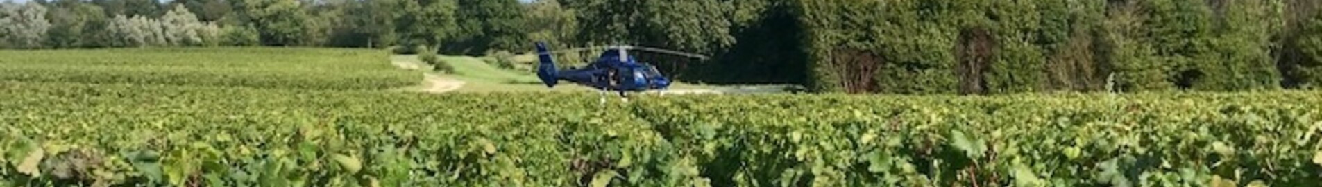 Oplev vinmarkerne i helikopter