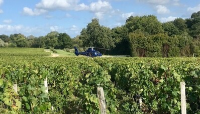 Oplev vinmarkerne i helikopter