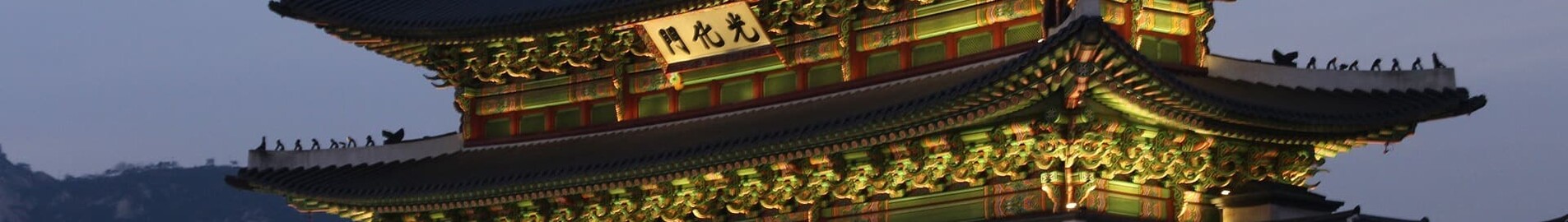 Seoul: udlejning af privatfly 