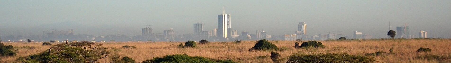 Nairobi: leje af privatfly 