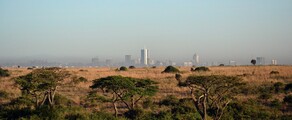 Nairobi: leje af privatfly 