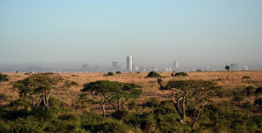 Nairobi: leje af privatfly 