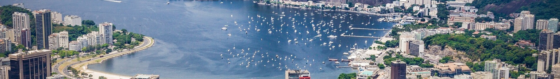Rio de Janeiro: leje af privatfly 