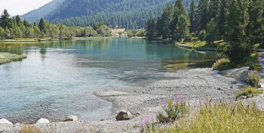 Saint-Moritz - Samedan: leje af privatfly