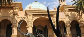 Cape Town: leje af privatfly 
