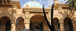 Johannesburg: leje af privatfly 