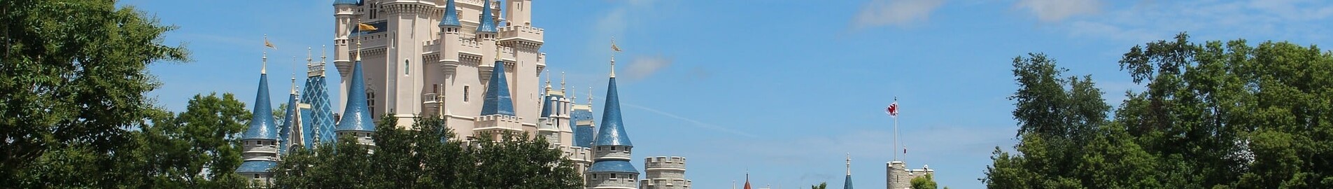 Orlando: udlejning af privatfly 