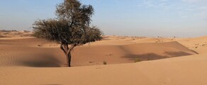 Abu Dhabi: leje af privatfly 