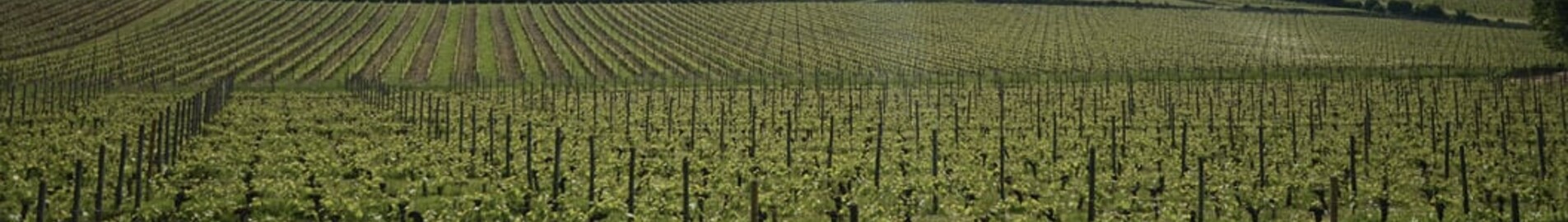 Bordeaux Mérignac: leje af privatfly 