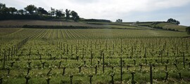 Valence Chabeuil: leje af privatfly 