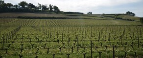 Bordeaux Mérignac: leje af privatfly 