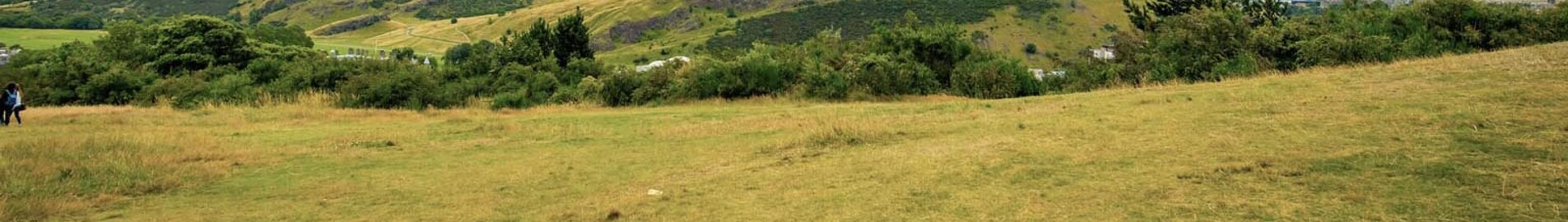 Edinburgh: leje af privatfly 