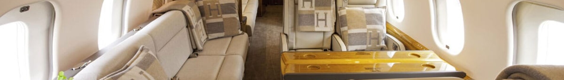 Céline Dions privatjet til 33 millioner euro: Alt, hvad du behøver at vide