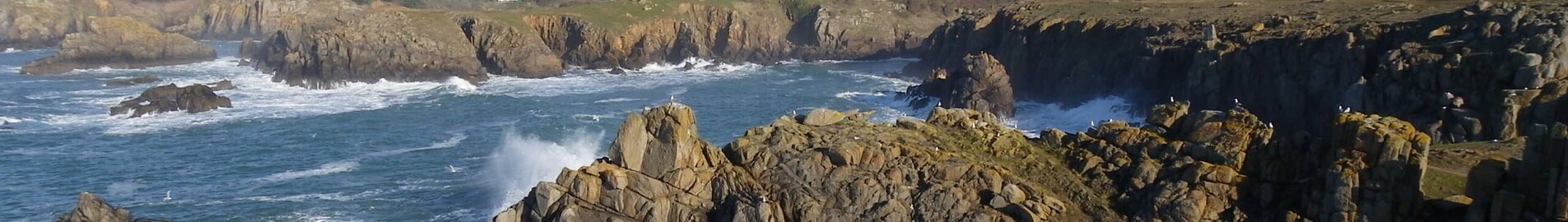 Ile d'Yeu: leje af privatfly 