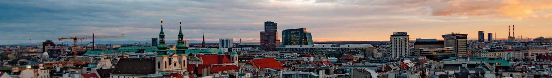 Wien Schwechat: leje af privatfly 