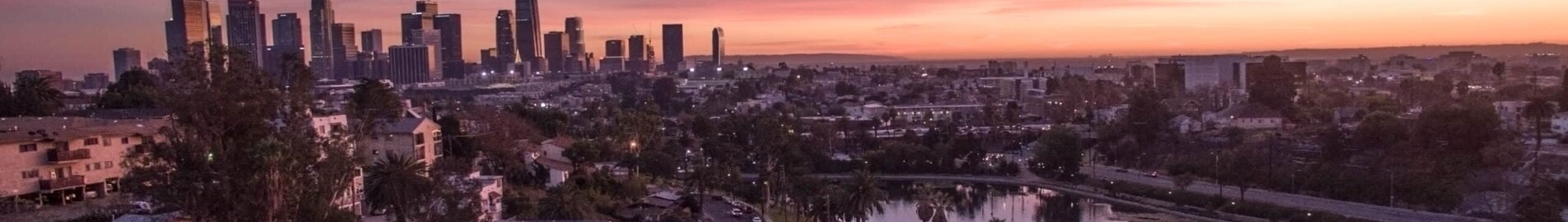 Los Angeles: leje af privatfly 