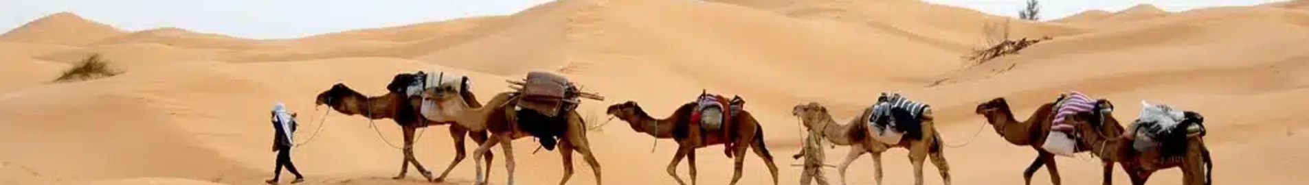 Tunis: udlejning af privatfly