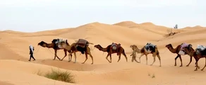 Tunis: udlejning af privatfly
