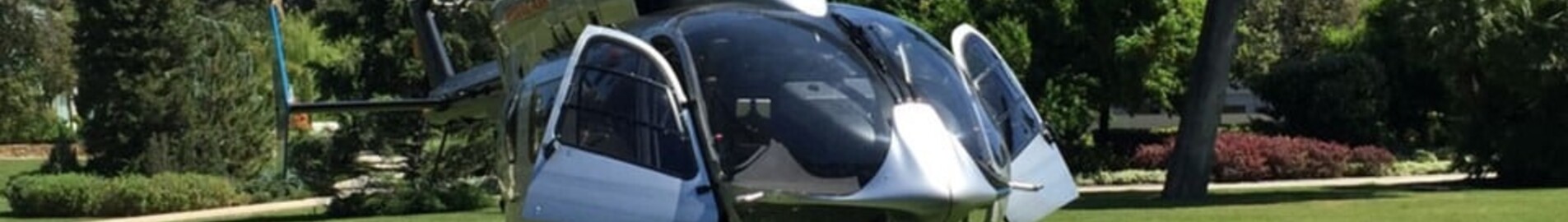 Beauval Zoo med helikopter