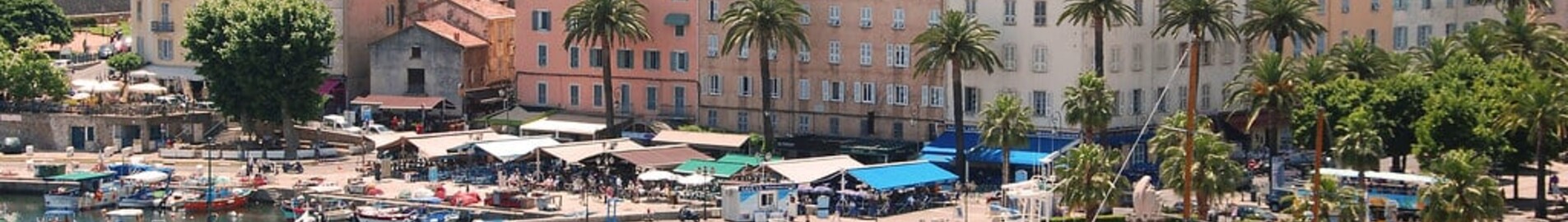 Ajaccio-Napoléon-Bonaparte: leje af privatfly 