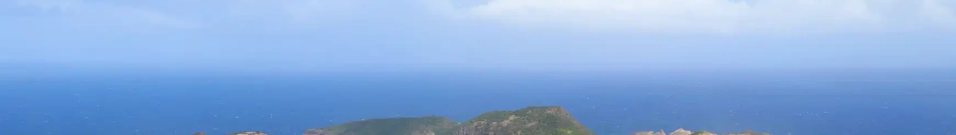 Guadeloupe: leje af privatfly 