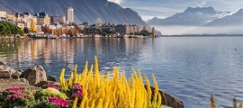 Zürich - Milano Linate: leje af privatfly