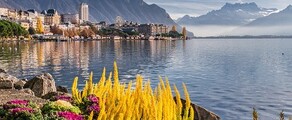 Hamborg - Genève: privat jetudlejning