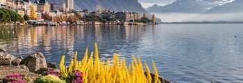 Empuriabrava : vue mer paisible avec boissons.