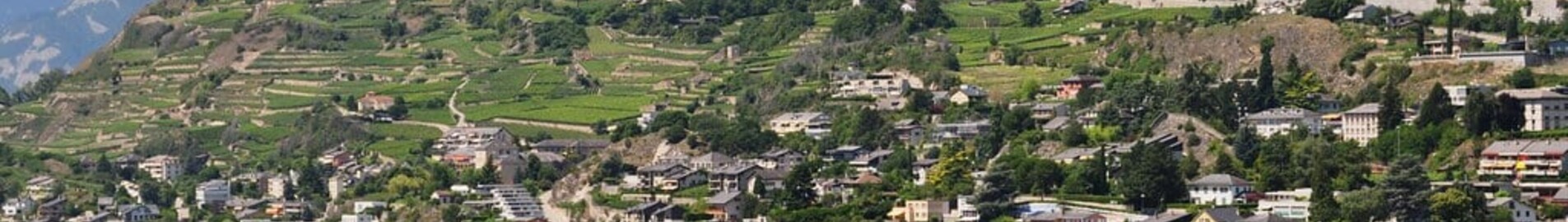 Sion: privat jetudlejning 