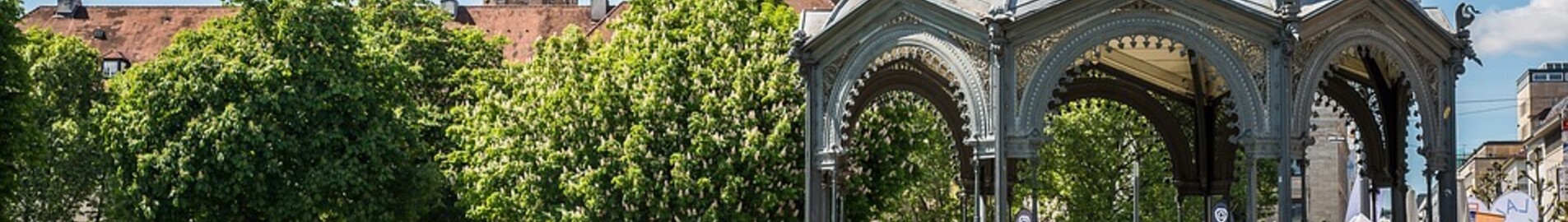 Paris - Stuttgart: leje af privatfly 