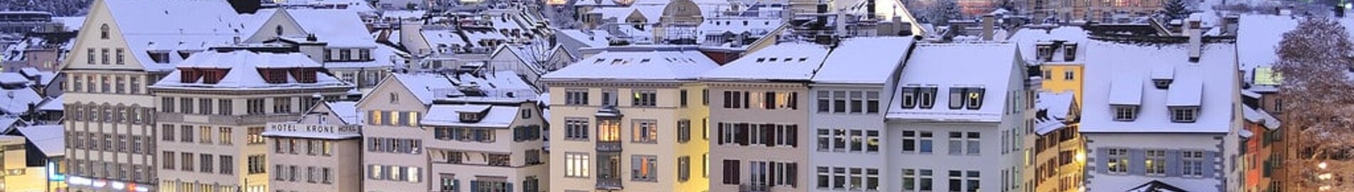 Zürich: leje af privatfly 