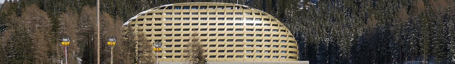Davos: leje af privatfly 