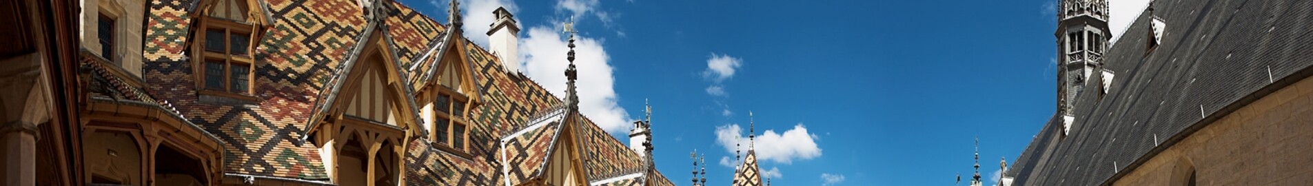 Beaune: leje af privatfly 