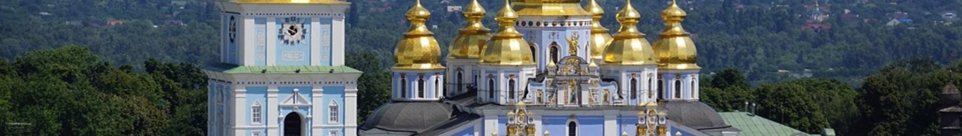 Kiev Zhuliany: leje af privatfly 