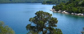 Mljet: leje af privatfly 