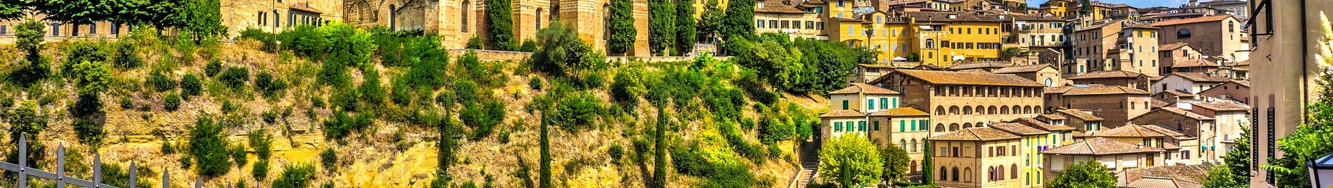 Siena: leje af privatfly 
