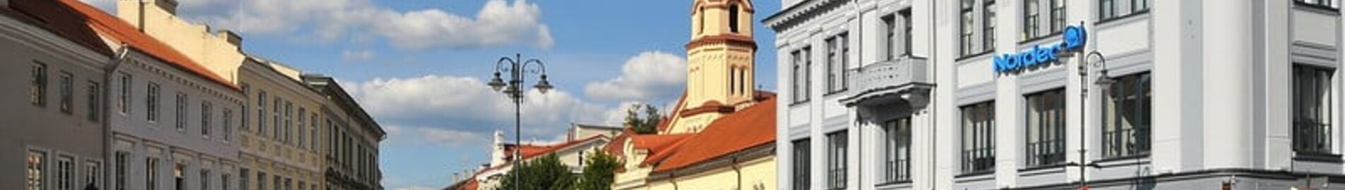 Vilnius: leje af privatfly 
