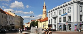 Vilnius: leje af privatfly 