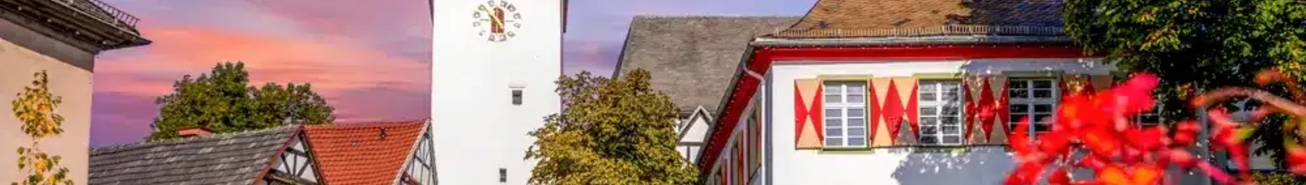 Arnsberg: leje af privatfly 