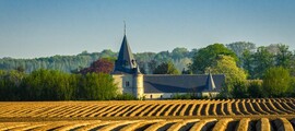 Charleroi-Bruxelles-Sud: privat jetudlejning 