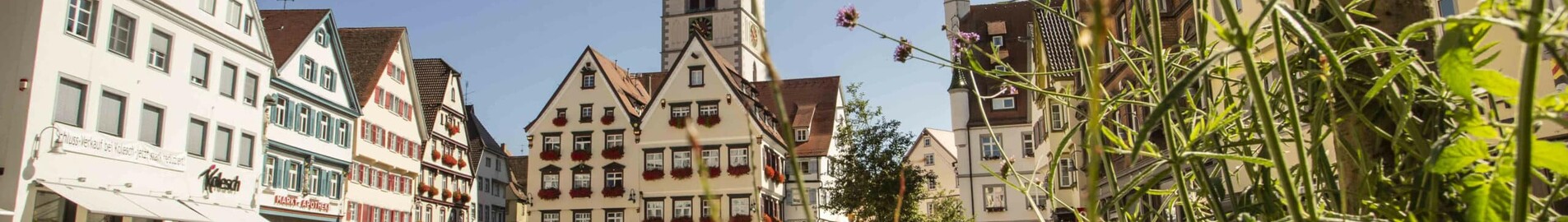 Biberach An Der Riss: privat jetudlejning 