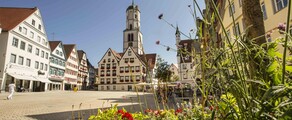 Biberach An Der Riss: privat jetudlejning 