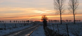 Ursel: leje af privatfly 
